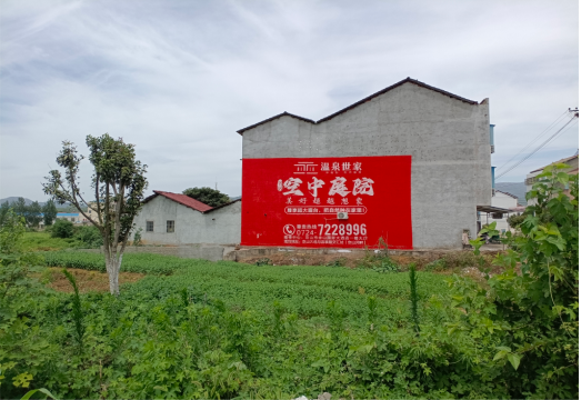 百色做墙体广告的意义